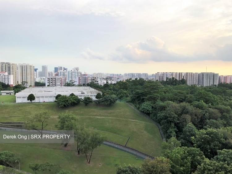 The Madeira thumbnail photo